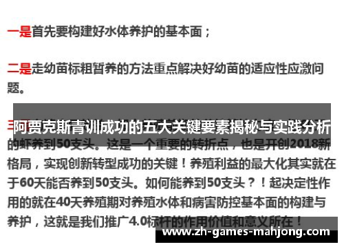 阿贾克斯青训成功的五大关键要素揭秘与实践分析 阿贾克斯青训成功的五大关键要素揭秘与实践分析