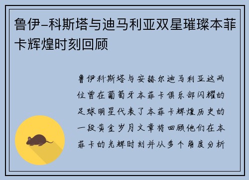 鲁伊-科斯塔与迪马利亚双星璀璨本菲卡辉煌时刻回顾 鲁伊-科斯塔与迪马利亚双星璀璨本菲卡辉煌时刻回顾