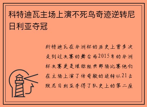 科特迪瓦主场上演不死鸟奇迹逆转尼日利亚夺冠